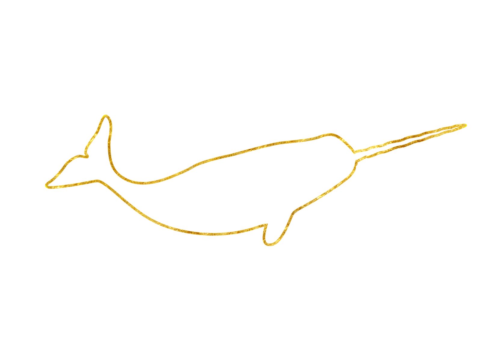 Narwall Labs consulting